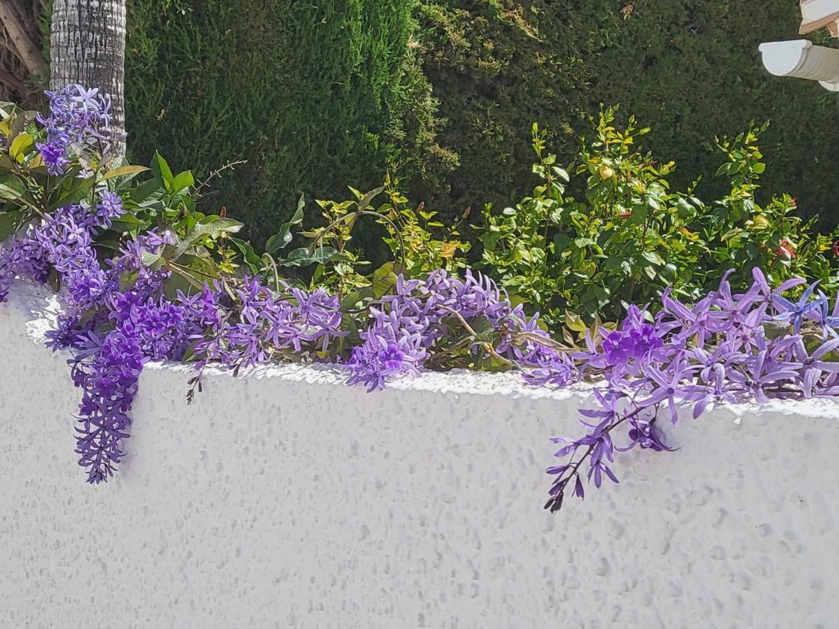 Romantic White Villa -Private Pool Nerja Luaran gambar